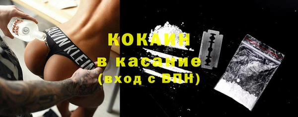 прущие грибы Бронницы