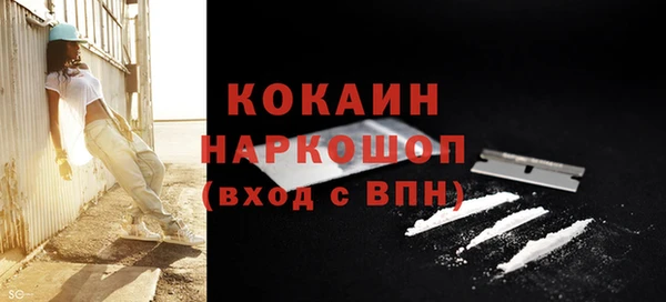 прущая мука Вяземский