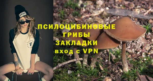 прущая мука Вяземский