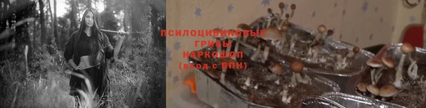 а пвп мука Верея