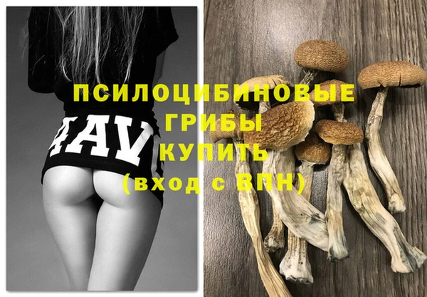 твердый Верхний Тагил